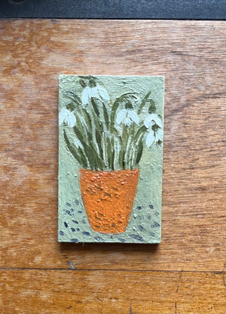 Image of Tiny snowdrops 