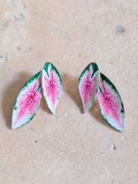 Image 2 of Boucles d'oreilles feuilles pothos 