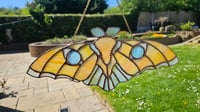 Image 1 of Milk moth