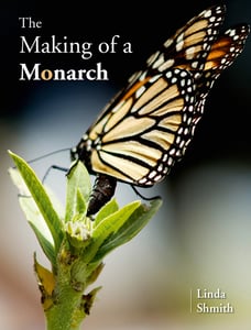 Image of The Making of a Monarch book