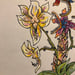 Image of Skeletal Lamping, Pollination: original 10x10 watercolor painting 