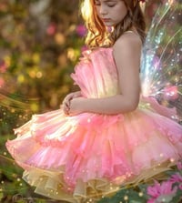 Image 2 of Fairies Session (6/22/25)