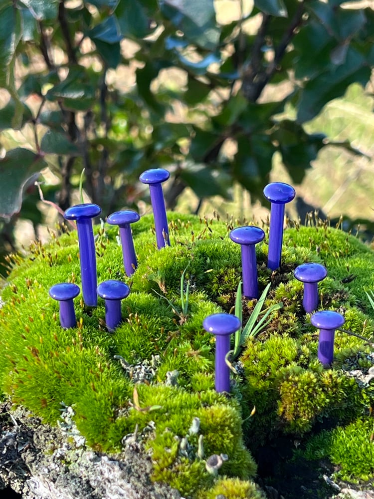 Image of 10 Purple Mushroom Plant Spikes