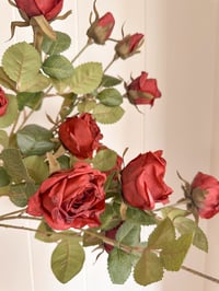 Image 7 of Autumn Rose Bouquets ( 4 Options )