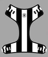 Toon Paws - Newcastle Dog Harness