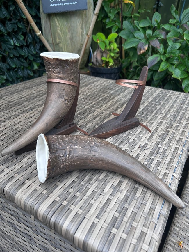 American bison drinking horn