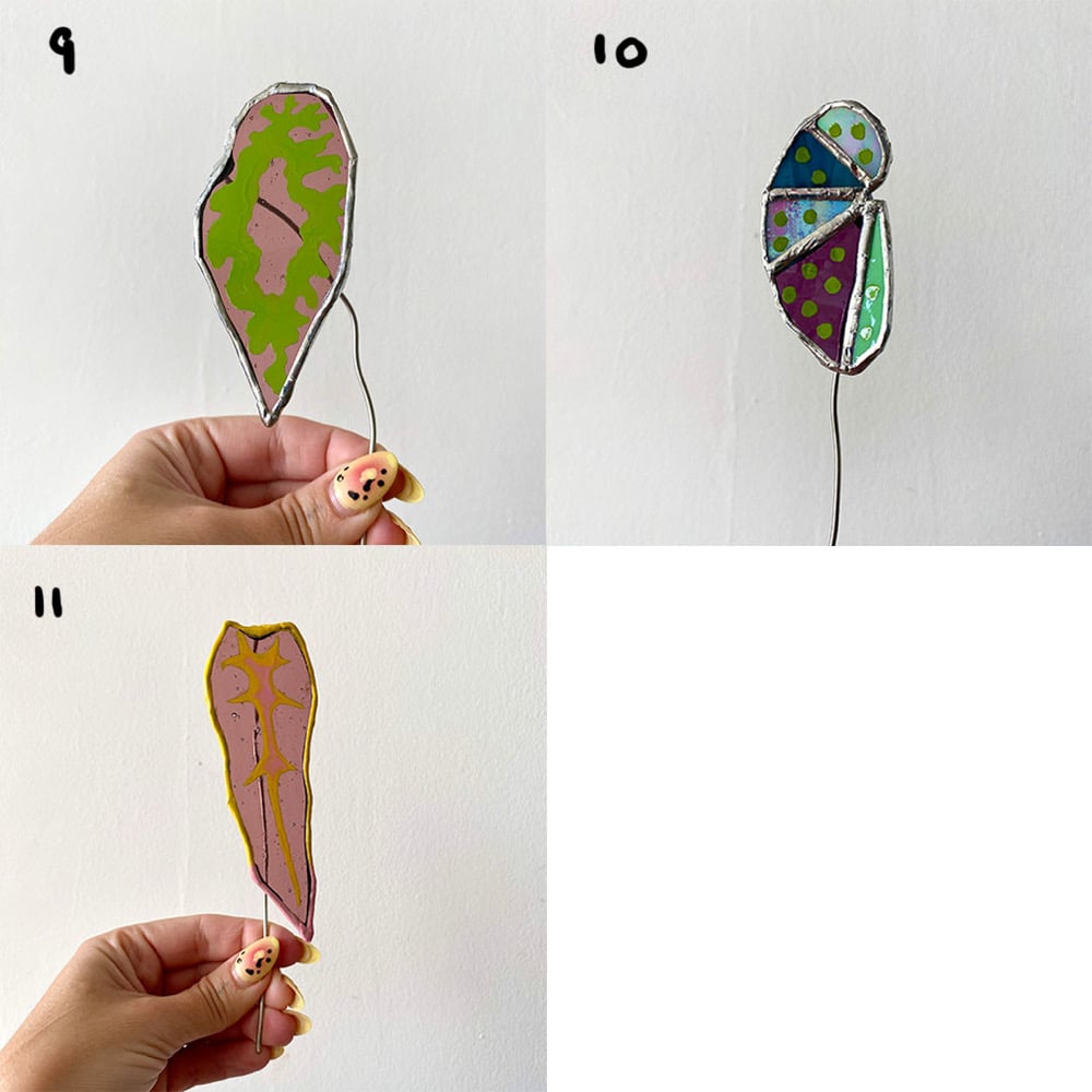 Image of Glass Plant *Old Stock*