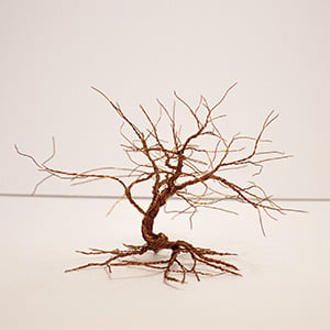 Image of E Series ( Dreaming Tree 4)