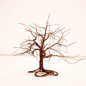Image of E Series ( Dreaming Tree 6)