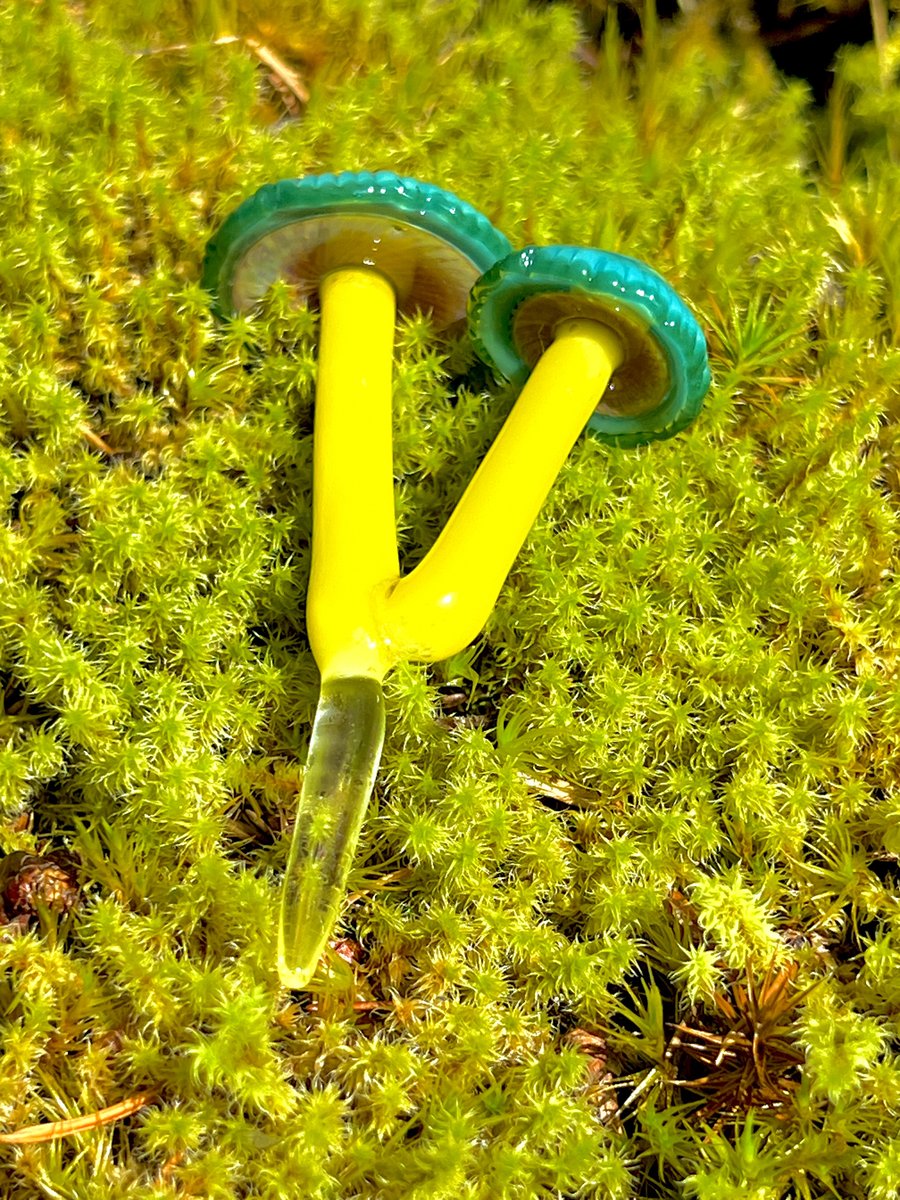 Image of 2 Blue & Yellow Mushroom Plant Spikes