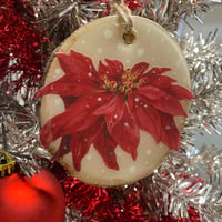 Image 1 of Poinsettia