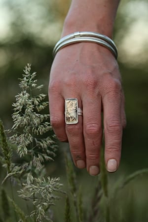 Image of Deep forest ring