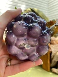 Image 4 of Golden Pothos in Grape Gravy Boat