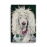 Image 1 of Whispy Poodle