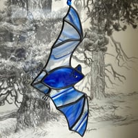 Image 1 of Royal Blue Flying Bat
