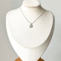 Image 2 of CHERRY CHARM