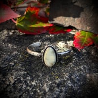 Single Aloe Cuff- 6”