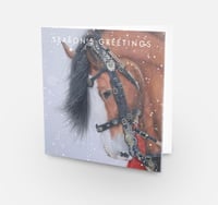 Image 1 of Horse Christmas Cards
