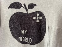 Image 2 of * My World *