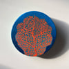 Coral