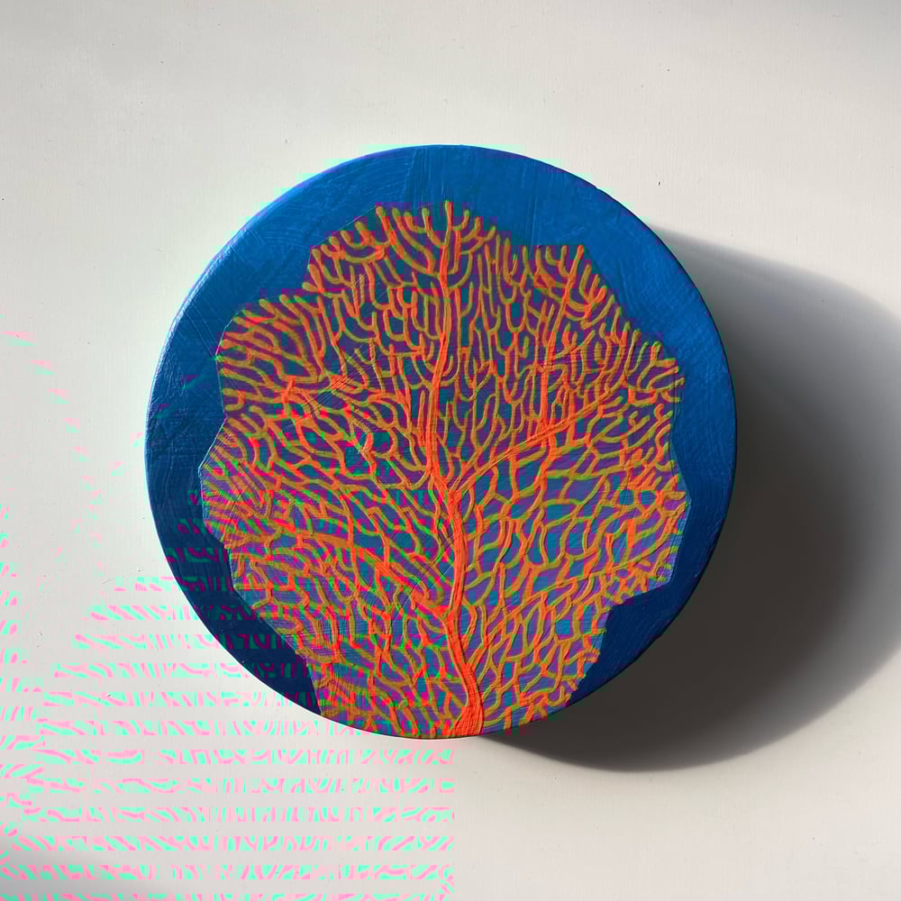 Coral