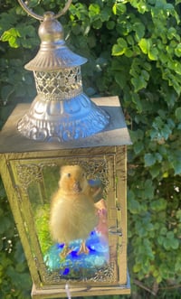 Image 2 of Duck lantern