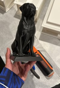 Image 4 of 3D model of your pet 