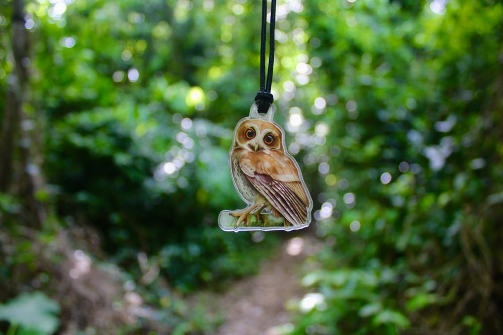 Mucarito Owl Necklace | Puerto Rican Owl