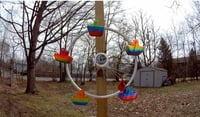 Moonie Bird Feeder Ride