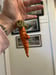 Image of Carrot Ornie 5