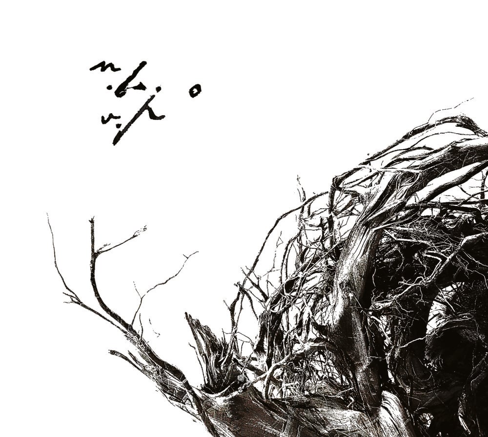 Image of Negură Bunget - Vîrstele pămîntului digipak