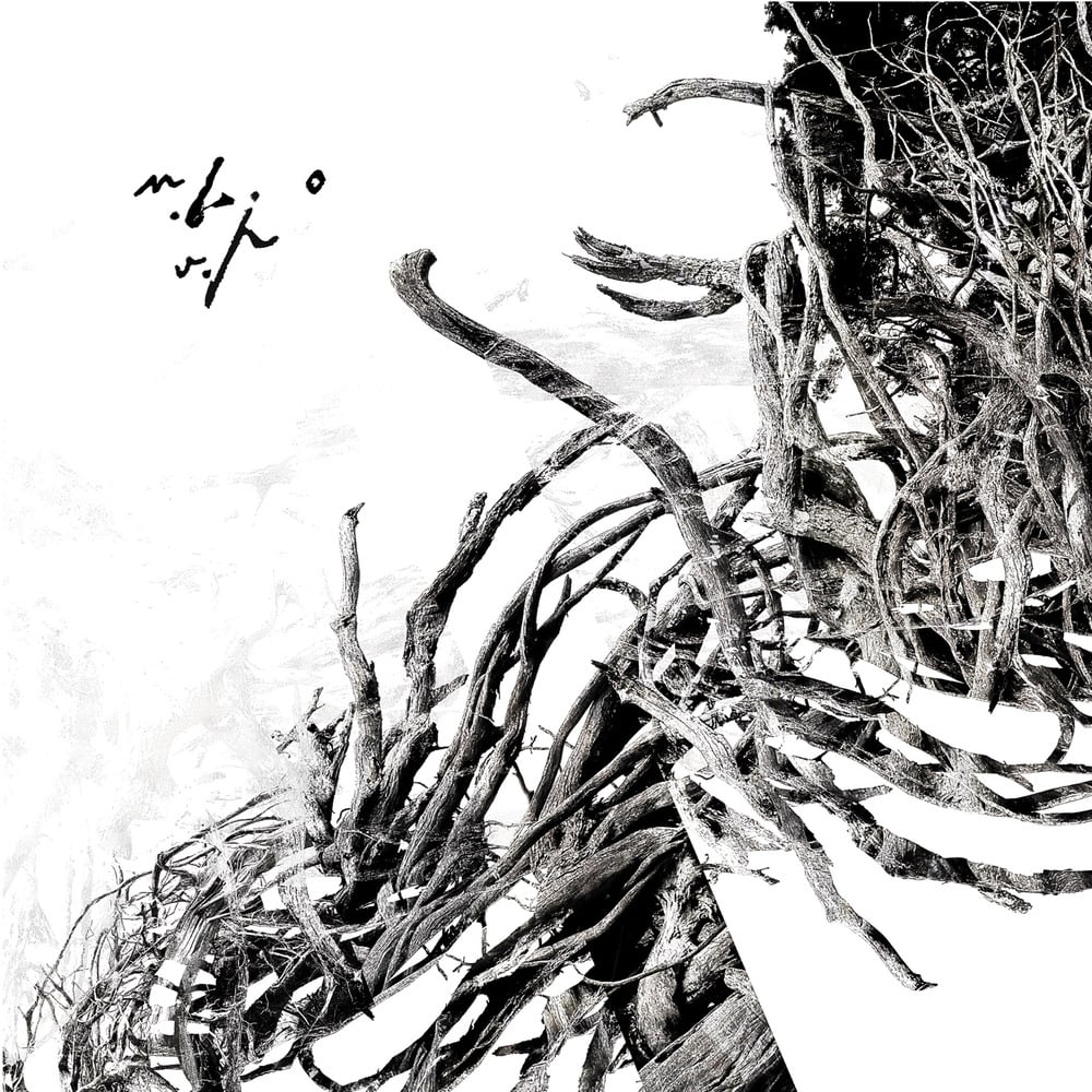 Image of Negura Bunget - double vinyl box limited edition