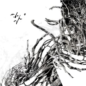 Image of Negura Bunget - double vinyl box limited edition