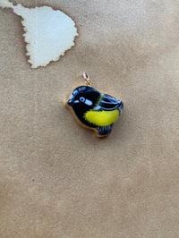 Image of Great Tit #1