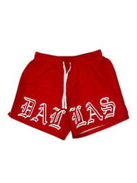 Image 1 of DALLAS SWIM TRUNKS (RED)