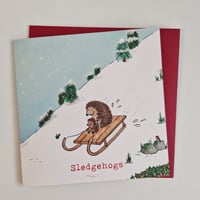 Image 2 of Sledgehogs