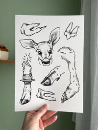 A4 taxidermy/deer flash print