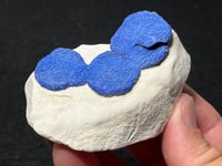 Image 9 of Azurite Suns On Matrix Specimen #2482