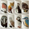 Rocket & Co. Bone China Mug - Wildlife
