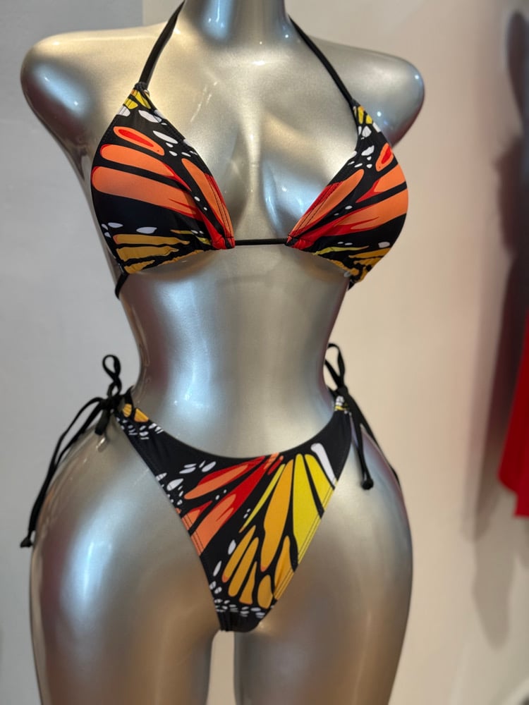 Image of SWIMSET 2