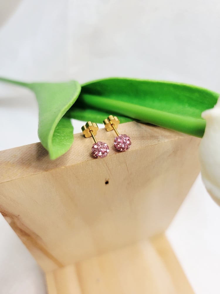 Image of Stud Earrings 