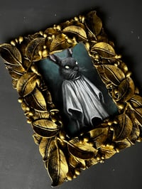 Image 2 of Conejo fantasma 