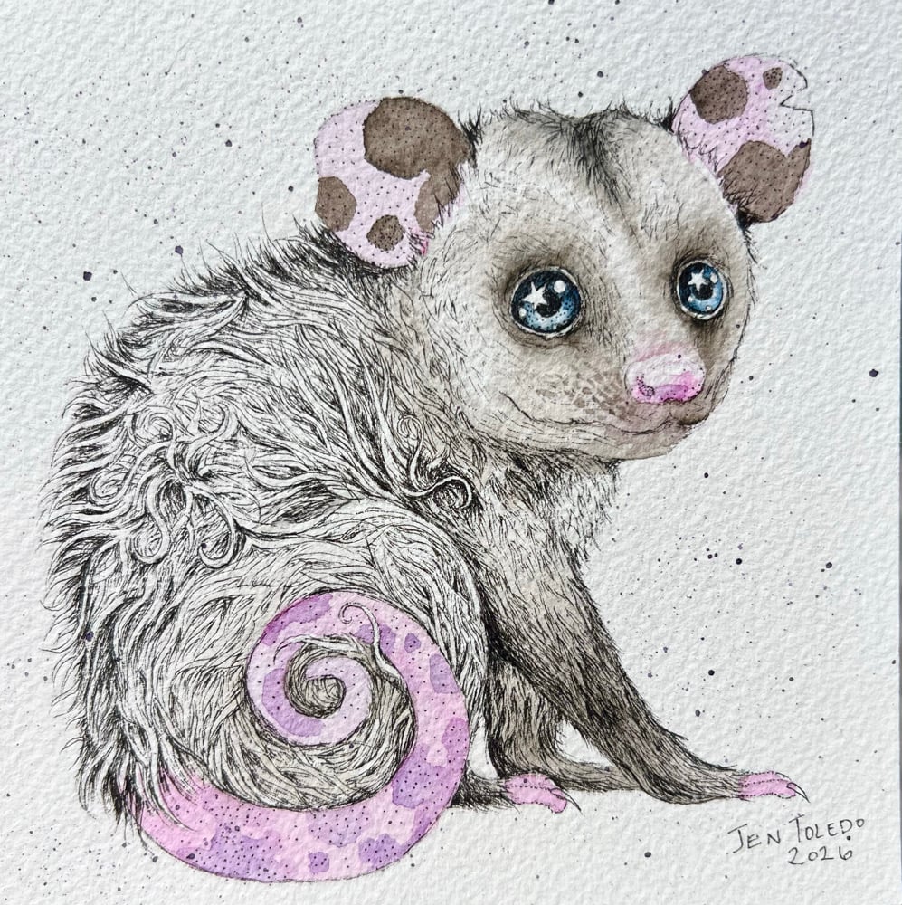 Image of Opossum Joey No. 6