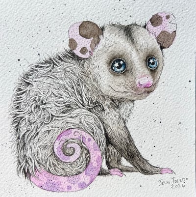 Image of Opossum Joey No. 6