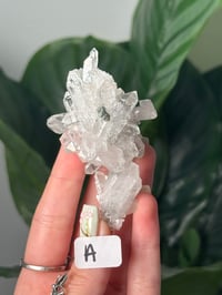 Image 1 of SMALL COLOMBIAN QUARTZ CLUSTERS WITH CHLORITE