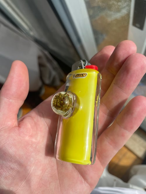 Image of Encased Flower Bic Lighter 