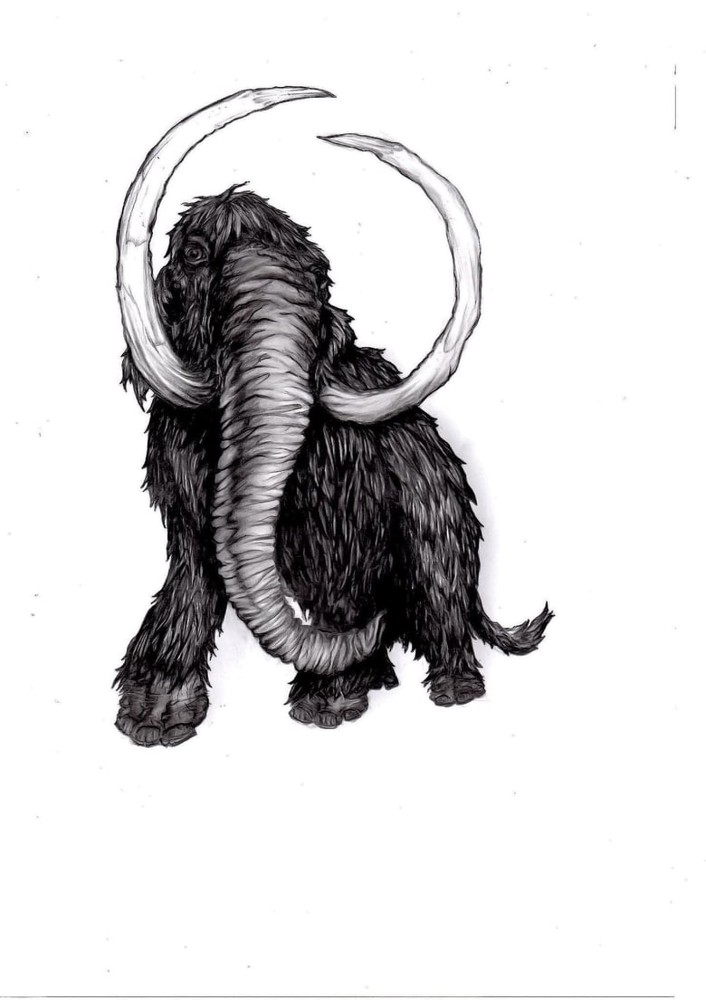 Image of JungleJustice Mammoth 