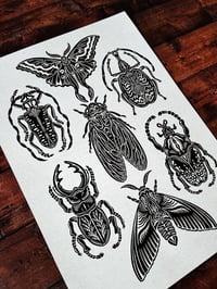 Image 1 of Bug Print 