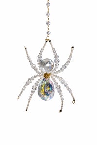 Image 1 of Lunar Prism Spider