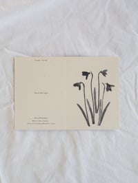 Image 2 of Snowdrops Greeting Card A6